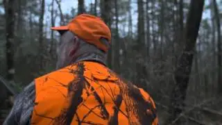 This is What Conservation Looks Like - Maine Guide