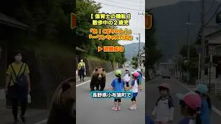 ２歳児「くまちゃんだ！」保育士「ワンちゃんだね（震）」&hellip;その嘘が子供の命を救ったんだよ。#クマ出没 #保育士 #神対応 #危機一髪 髪 #教育