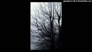 (free) nine vicious x 1300saint type beat 