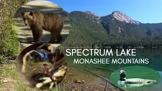 Snakes, Grizzlies, and Loons | Hiking and Trout Fishing in Canada | Spectrum Lake, BC