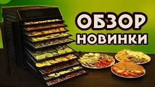 Обзор новейшего двухкамерного дегидратора Excalibur RES12 с программируемыми режимами сушки