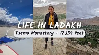 Life in Ladakh, Day 2: Climbing 12,139FT to visit Tsemo Monastery on a budget.