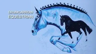 Drumcarrow Equestrian