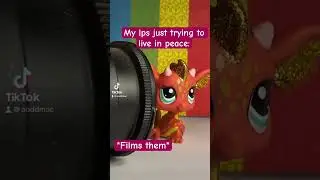 There is no privacy for them 😔 #littlestpetshop #lps #lpscommunity #foryou