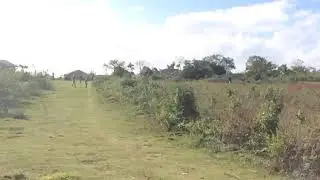 Moore island