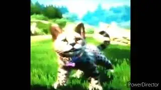 What Did you Think About My Wildest Awesomeness Amazingness Zoo Tricks?.