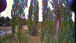 4s tall trees  herts fpv