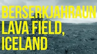 Berserkjahraun Lava Field- Iceland with a Toddler