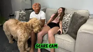 BEST SCARE CAM Priceless Reactions 2025😈#264 | Funny Scare Cam 🤣| Jump Scare 😂| CoCo Scare Cam |