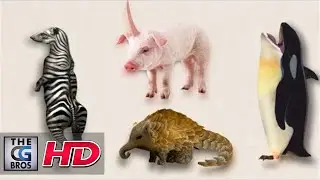 CGI VFX Making of : 