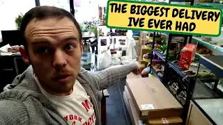 The Biggest Delivery I've Ever Had, Reptile Delivery Unboxing (Snake Island Exotics)
