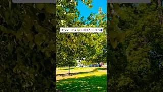 Amazing nature beauty in Melbourne 🌿☀️Greenery, sunshine, fresh air & peaceful vibes&mdash;feeling good🏡