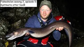 Fiskeskolen sesong 2, episode 5: Kystmeite etter havål