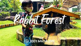 Bermain Ke Rabbit Forest - Summarecon Mall Bekasi