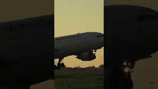 Golden hour landing #a330 #aviation #planespotting #airbuslovers #airport