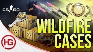Operation Wildfire Case Opening! BOWIE KNIFE HYPE! (CS:GO)
