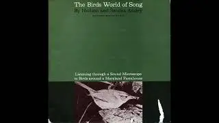 The Birds World of Song - Field Recordings