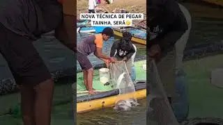 Ser&aacute; que vai dar certo essa t&eacute;cnica de pegar tainha #peixe #tainha #tainhas