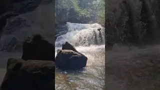 River Flow sounds|| Relaxing Water fall Sounds| Peaceful Forest River|Waterfall 1080p - Nature Video