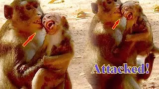 SHOCKING HEART!! CRUEL ANNA ATTACKED HER REAL DAUGHTER TOO STRONG, ALBA DEEP HURT & FAST RUN OUT!