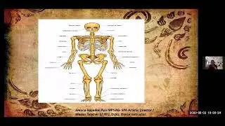 Movement Education mp4 PART 1