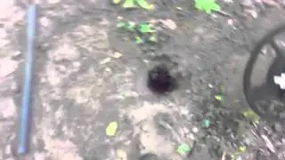 VIDEO0083