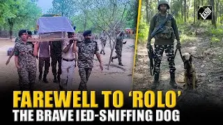 &ldquo;An expert in the detection of IEDs&hellip;&rdquo; CRPF personnel remember the IED sniffing dog &lsquo;Rolo&rsquo;