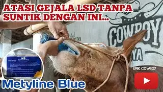 Cara Mengatasi Gejala LSD TANPA SUNTIK / Inject. Metyline Blue.