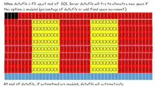Datafile Allocation Extensions and Pages in SQL Server