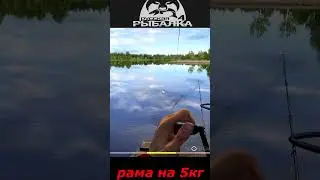 #shorts  #🎮рама на 5кг🎮# Russian Fishing #