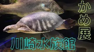 川崎水族館に行って来ました！！