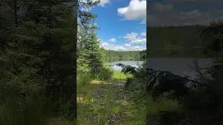 11674 Sherwood Lane, Woodruff, WI 54568