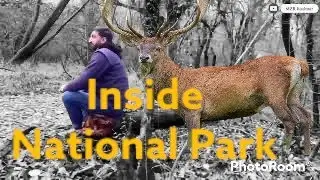 Inside Dachigam National Park #nationlalpark #dachigam #kashmirnationalpark