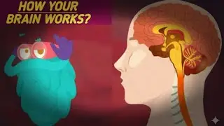 How Your Brain Works? - EDUCATIONAL VIDEOS | Best Learning Videos I FAIYAZ VERSE 