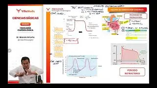 Sistema de conducción cardíaco I