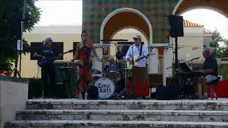 Say You Love Me performed by Gypsy Lights