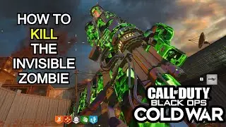 How to kill the invisible Zombie glitch on Onslaught