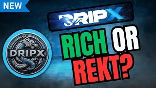 DRIPX &mdash; Богатство или разорение! Моя стратегия пассивного дохода