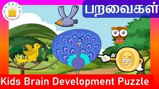 பறவைகள் | Learn Tamil Birds Name and sounds for Kids and children-Tamilarasi