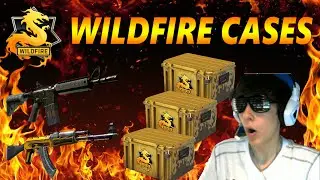 CS:GO Case Unboxing - 30 Wildfire Cases
