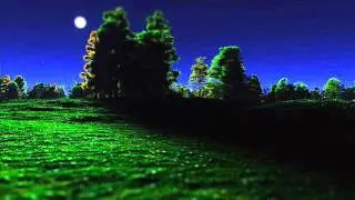 Shine On You Crazy Diamond Intro(Extended)