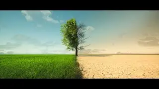 The Future of Climate Geopolitics