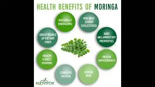 Health Benefits Using Moringa Powder
