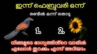 ഇന്ന് ഫെബ്രുവരി ഒന്ന്...നിങ്ങളുടെ ഭാഗ്യത്തിൻ്റെ വാതിൽ എപ്പോൾ തുറക്കും എന്ന് അറിയാം...thodukuri