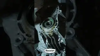 👍Car Mechanic's Secret - Oddly Satisfying Rear Case Removal & PDK Repair!