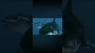 5 headed shark vs tralalelo tralala