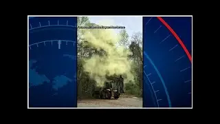 Video: The huge pollen cloud caught on the camera