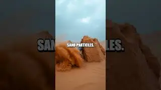 Extreme Sandstorm Survival Tactics