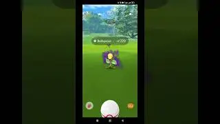 How to Get Shadow Victreebel 🔥 #shorts #pokemongo #shadowbellsprout #tipsandtricks #pokeratzzz