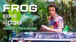 Edhe | Organic, Deep e Indie Set | Forest Sessions | Frog #036